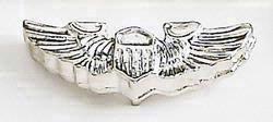 Pilot's Wings