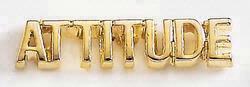 Attitude