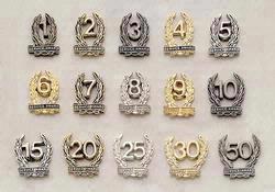 Service Award Lapel Pin
