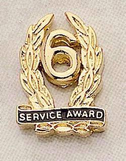 Service Award Lapel Pin with colorfill