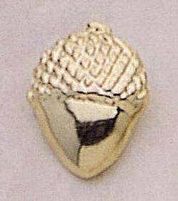 Acorn
