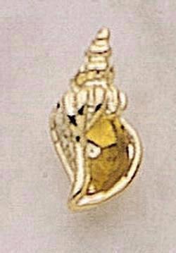 Conch Shell