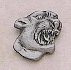 Cougar Head