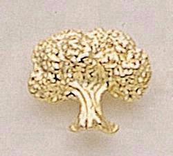 Oak Tree