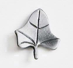 Leaf (Basswood)