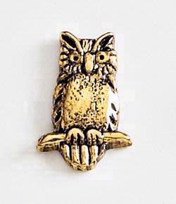 Owl (on branch)