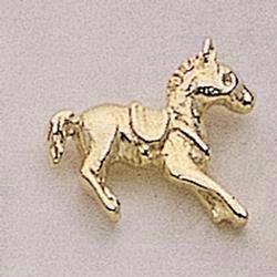 Bronco