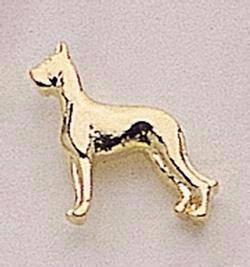 Dog (Great Dane)