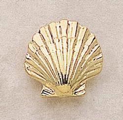 Scallop Shell