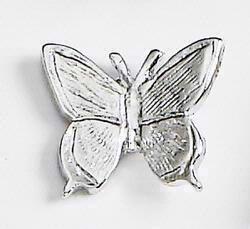 Butterfly (moth)