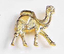 Camel with Riding Harness