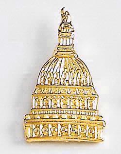 Capitol Dome with Flag