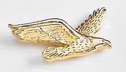 Eagle Flying