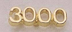 3000