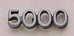 5000