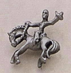 Bucking Bronco