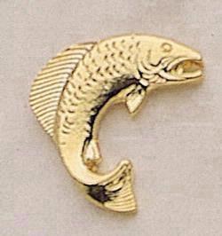 Fish (salmon)