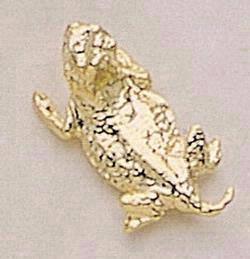 Horned Toad