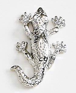 Lizard