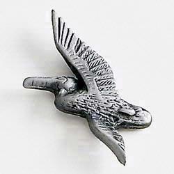 Pelican Flying