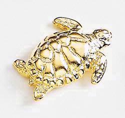 Sea Turtle