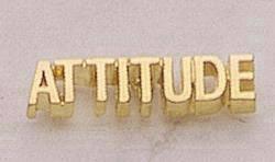 Attitude