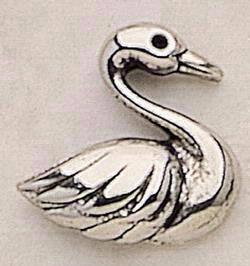 Swan