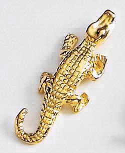 Alligator (top view)