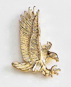 Hawk