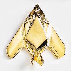 Jet (F-117A)