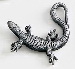 Lizard