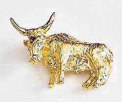 Longhorn Steer