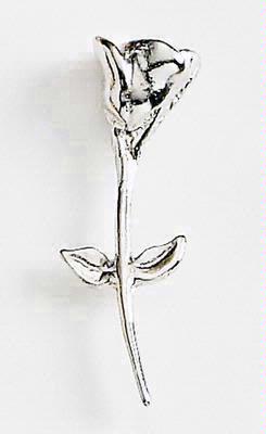 Long-Stemmed Rose
