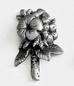 Plumeria
