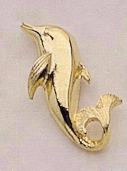 Dolphin (porpoise)