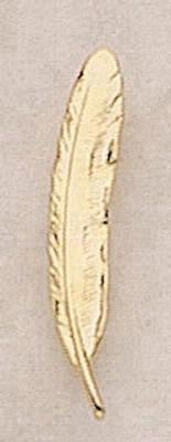 Quill (feather)