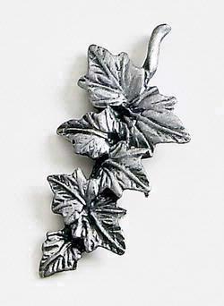 Ivy