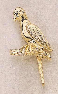 Parrot on Branch