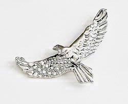 Eagle (flying)