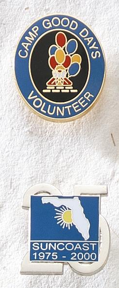 Economical Die Struck Iron Lapel Pin with CloisEpoxy Colorfill