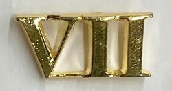 Roman Numeral VII